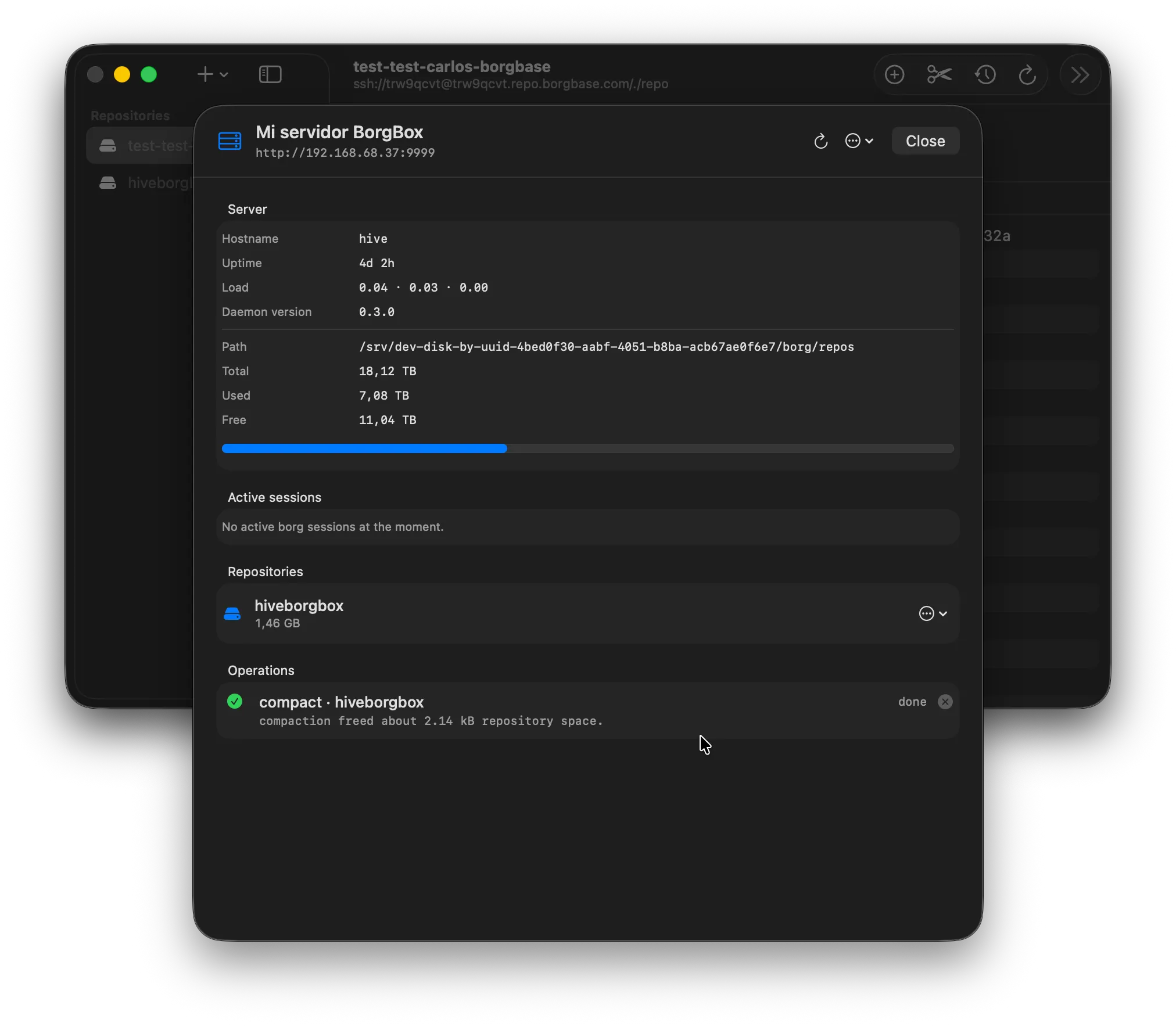 borgmac server detail panel for a borgbox-managed host